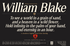 Lux Mentis - Serif Font Family Product Image 12