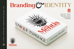 Lux Mentis - Serif Font Family Product Image 13