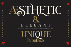 Lux Oriens - Serif Font Family Product Image 13