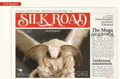 Lux Oriens - Serif Font Family Product Image 9