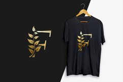 Letter F with multi colors letter mark logos Product Image 2