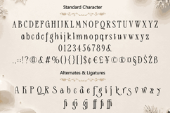 Christmas Font - Morning Wishes Product Image 7