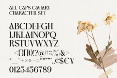 Caviary Product Image 2