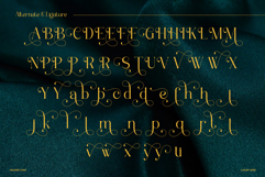 Helvare Product Image 9