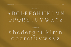 Helmorin Product Image 10