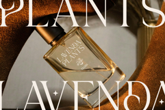 Helmorin Product Image 3