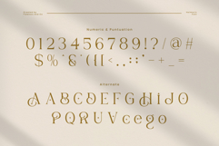 Helmorin Product Image 9