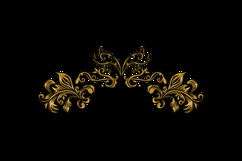 Luxury vintage floral ornament decorative element design Product Image 2