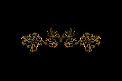 Luxury vintage floral ornament decorative element graphic Product Image 2