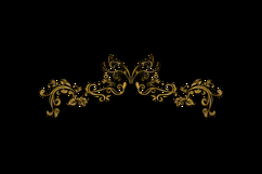 Luxury vintage floral ornament decorative element isolated Product Image 2