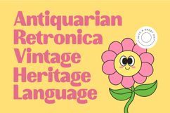 Lyngo Sofun - Display Sans Serif Product Image 17