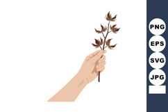 Hand holding dry brown autumn leaves branch isolated vector Product Image 1