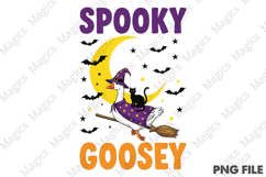 Halloween Witch Goose Spookey Goosey Product Image 2