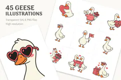 45 Cute Goose SVG & PNG, Valentine's Day Illustrations Product Image 1
