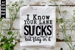 I Know Your Lane Sucks but Stay in It Svg, Sarcastic Svg Product Image 1