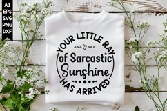 Your Little Ray of Sarcastic Sunshine Has Arrived Svg Product Image 1