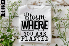Bloom Where You Are Planted Svg, Inspirational Svg Designs Product Image 1