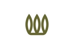 W logo design Product Image 1