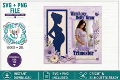 Pregnant Belly Boxed with Sayings SVG Cut File Bundle Product Image 4