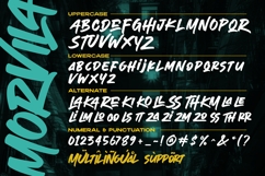 Morvila Product Image 9