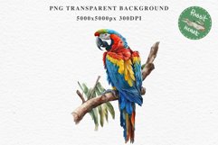 Macaw Parrot Birds Clipart Savanna PNG Nursery Art Scrapbook Image Watercolor Transparent Print invitation t-shirt designs sublimation printable digital watercolor cute Macaw Parrot, Safari birds bird clipart, sublimation nursery drawing Savanna