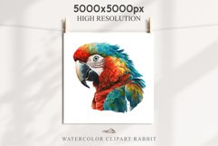 Macaw Parrot Birds Clipart Savanna PNG Nursery Art Scrapbook Image Watercolor Transparent Print invitation t-shirt designs sublimation printable digital watercolor cute Macaw Parrot, Safari birds bird clipart, sublimation nursery drawing Savanna