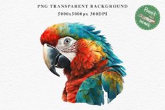 Macaw Parrot Birds Clipart Savanna PNG Nursery Art Scrapbook Image Watercolor Transparent Print invitation t-shirt designs sublimation printable digital watercolor cute Macaw Parrot, Safari birds bird clipart, sublimation nursery drawing Savanna