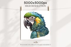 Macaw Parrot Birds Clipart Savanna PNG Nursery Art Scrapbook Image Watercolor Transparent Print invitation t-shirt designs sublimation printable digital watercolor cute Macaw Parrot, Safari birds bird clipart, sublimation nursery drawing Savanna