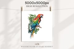 Macaw Parrot Birds Clipart Savanna PNG Nursery Art Scrapbook Image Watercolor Transparent Print invitation t-shirt designs sublimation printable digital watercolor cute Macaw Parrot, Safari birds bird clipart, sublimation nursery drawing Savanna