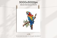 Macaw Parrot Birds Clipart Savanna PNG Nursery Art Scrapbook Image Watercolor Transparent Print invitation t-shirt designs sublimation printable digital watercolor cute Macaw Parrot, Safari birds bird clipart, sublimation nursery drawing Savanna