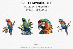 watercolor cute Macaw Parrot, Safari birds bird clipart, sublimation nursery drawing Savanna Macaw Parrot Birds Clipart Savanna PNG Nursery Art Scrapbook Image Watercolor Transparent Print invitation t-shirt designs sublimation printable digital