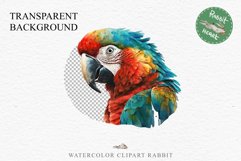 Macaw Parrot Birds Clipart Savanna PNG Nursery Art Scrapbook Image Watercolor Transparent Print invitation t-shirt designs sublimation printable digital watercolor cute Macaw Parrot, Safari birds bird clipart, sublimation nursery drawing Savanna