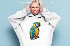 watercolor cute Macaw Parrot, Safari birds bird clipart, sublimation nursery drawing Savanna Macaw Parrot Birds Clipart Savanna PNG Nursery Art Scrapbook Image Watercolor Transparent Print invitation t-shirt designs sublimation printable digital