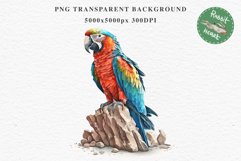 Macaw Parrot Birds Clipart Savanna PNG Nursery Art Scrapbook Image Watercolor Transparent Print invitation t-shirt designs sublimation printable digital watercolor cute Macaw Parrot, Safari birds bird clipart, sublimation nursery drawing Savanna