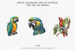 watercolor cute Macaw Parrot, Safari birds bird clipart, sublimation nursery drawing Savanna Macaw Parrot Birds Clipart Savanna PNG Nursery Art Scrapbook Image Watercolor Transparent Print invitation t-shirt designs sublimation printable digital