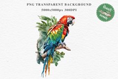 Macaw Parrot Birds Clipart Savanna PNG Nursery Art Scrapbook Image Watercolor Transparent Print invitation t-shirt designs sublimation printable digital watercolor cute Macaw Parrot, Safari birds bird clipart, sublimation nursery drawing Savanna