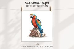 Macaw Parrot Birds Clipart Savanna PNG Nursery Art Scrapbook Image Watercolor Transparent Print invitation t-shirt designs sublimation printable digital watercolor cute Macaw Parrot, Safari birds bird clipart, sublimation nursery drawing Savanna