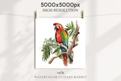 watercolor cute Macaw Parrot, Safari birds bird clipart, sublimation nursery drawing Savanna Macaw Parrot Birds Clipart Savanna PNG Nursery Art Scrapbook Image Watercolor Transparent Print invitation t-shirt designs sublimation printable digital