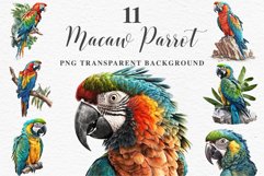 watercolor cute Macaw Parrot, Safari birds bird clipart, sublimation nursery drawing Savanna Macaw Parrot Birds Clipart Savanna PNG Nursery Art Scrapbook Image Watercolor Transparent Print invitation t-shirt designs sublimation printable digital
