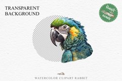 Macaw Parrot Birds Clipart Savanna PNG Nursery Art Scrapbook Image Watercolor Transparent Print invitation t-shirt designs sublimation printable digital watercolor cute Macaw Parrot, Safari birds bird clipart, sublimation nursery drawing Savanna