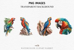 watercolor cute Macaw Parrot, Safari birds bird clipart, sublimation nursery drawing Savanna Macaw Parrot Birds Clipart Savanna PNG Nursery Art Scrapbook Image Watercolor Transparent Print invitation t-shirt designs sublimation printable digital