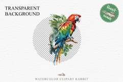 Macaw Parrot Birds Clipart Savanna PNG Nursery Art Scrapbook Image Watercolor Transparent Print invitation t-shirt designs sublimation printable digital watercolor cute Macaw Parrot, Safari birds bird clipart, sublimation nursery drawing Savanna