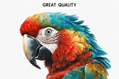 watercolor cute Macaw Parrot, Safari birds bird clipart, sublimation nursery drawing Savanna Macaw Parrot Birds Clipart Savanna PNG Nursery Art Scrapbook Image Watercolor Transparent Print invitation t-shirt designs sublimation printable digital