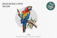 watercolor cute Macaw Parrot, Safari birds bird clipart, sublimation nursery drawing Savanna Macaw Parrot Birds Clipart Savanna PNG Nursery Art Scrapbook Image Watercolor Transparent Print invitation t-shirt designs sublimation printable digital