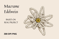 Macrame Edelweiss Flower Clipart with Pencil Sketch Effect Product Image 1