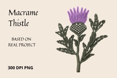 Macrame Thistle PNG Botanical Clipart Product Image 1