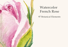 French Garden Watercolor Clipart Bundle Product Image 4