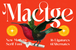 Mactge - New Modern Serif Font Product Image 1