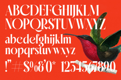 Mactge - New Modern Serif Font Product Image 18