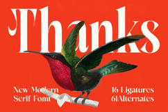 Mactge - New Modern Serif Font Product Image 20